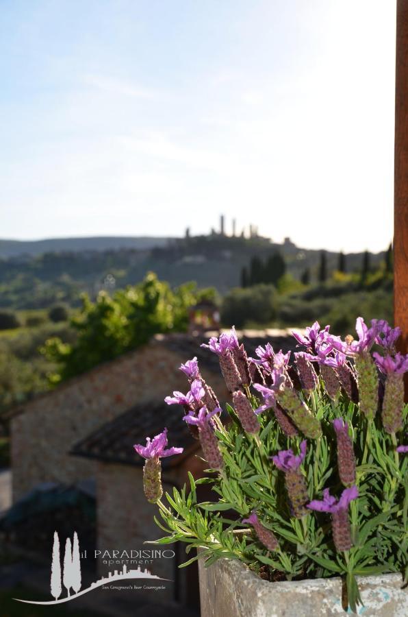 Il Paradisino San Gimignano'S Best Countryside Εξωτερικό φωτογραφία